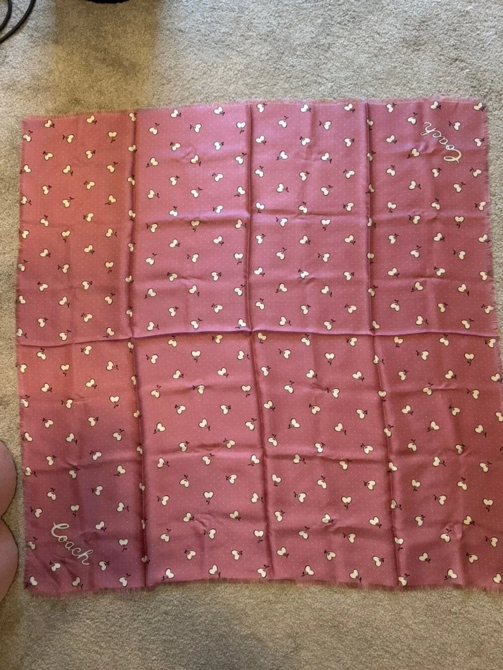 Coach Silk Scarf